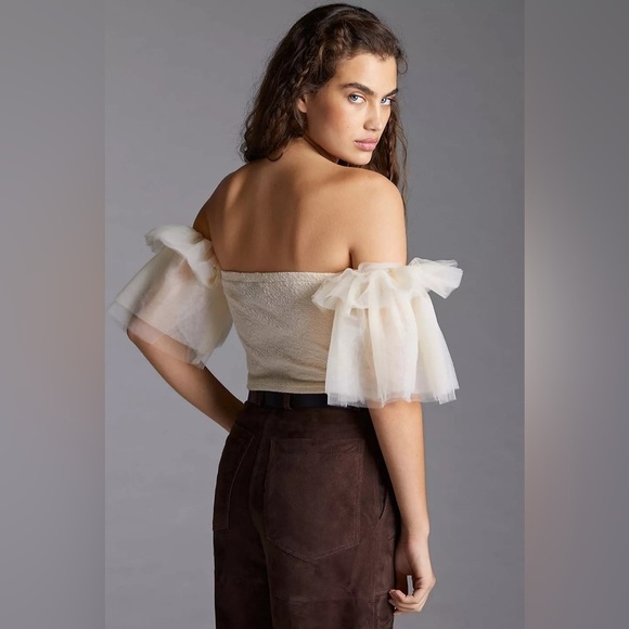 Anthropologie Sunday in Brooklyn Tulle Off The Shoulder Tapestry Bodice Top NWT - Picture 3 of 11